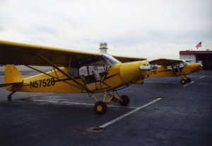 Piper Supercubs